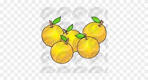 5- orange